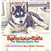 Bodacious Bode - The Siberian Husky Pup
