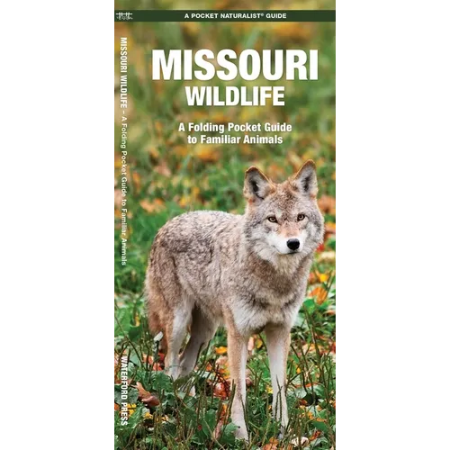 Missouri Wildlife: A Folding Pocket Guide to Familiar Animals