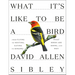 What It's Like to Be a Bird: From Flying to Nesting, Eating to Singing--What Birds Are Doing, and Why