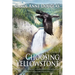 Choosing Yellowstone