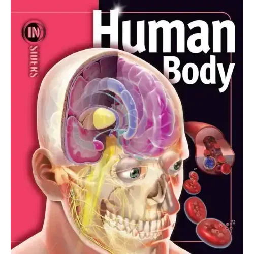 Human Body