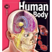 Human Body