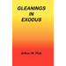 Gleanings in Exodus