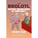 Axolotl Nether Adventures in Minecraft