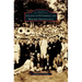 Italians of Pittsburgh and Western Pennsylvania