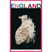 England. Tim Crouch