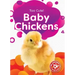 Baby Chickens