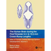 The Human Brain During the First Trimester 6.3- To 10.5-MM Crown-Rump Lengths: Atlas of Human Central Nervous System Development, Volume 2