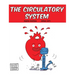 The Circulatory System