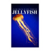 Jellyfish - Curious Kids Press: Kids book about animals and wildlife, Children's books 4-6