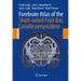 Forebrain Atlas of the Short-Tailed Fruit Bat, Carollia Perspicillata: Prepared by the Methods of Nissl and Neun Immunohistochemistry