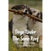 Dogs Under The Same Roof: The Multi-Dog Household Techniques And Methods: Ways To Keep Dogs In The Same House From Fighting