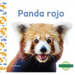 Panda Rojo (Red Pandas)