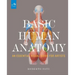 Basic Human Anatomy: An Essential Visual Guide for Artists