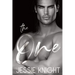 The One: steamy summer romance