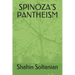 Spinoza's Pantheism