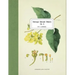 Vintage Botany Prints: Vol. 9