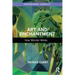 Art and Enchantment: How Wonder Works