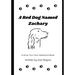 A Red Dog Named Zachary: A Draw Your Own Adventure Book