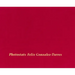 Felix Gonzalez-Torres: Photostats