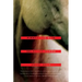 Pierce the Skin: Selected Poems, 1982-2007