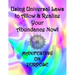 Using Universal Laws to Allow & Realize Your Abundance Now! Manifesting on Purpose