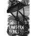 The Lantern Heart