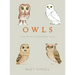 Owls: Our Most Charming Bird