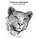 Gatos salvajes libro para colorear para adultos 1
