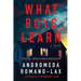 What Boys Learn