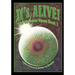 It's Alive!: The Universe Verse: Book 2