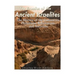 The Enemies of the Ancient Israelites: The History of the Canaanites, Philistines, Babylonians, and Assyrians