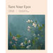 Turn Your Eyes: A Bible Study on the Psalms