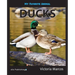 My Favorite Animal: Ducks