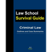 Criminal Law: Outlines and Case Summaries