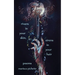 Rivers in Your Skin, Sirens in Your Hair: Poems