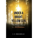 Under a Bright Yellow Sun: The Bronze Sword