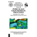 Pore Scale Geochemical Processes