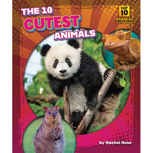 The 10 Cutest Animals