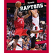 Toronto Raptors
