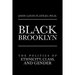 Black Brooklyn: The Politics of Ethnicity, Class, and Gender