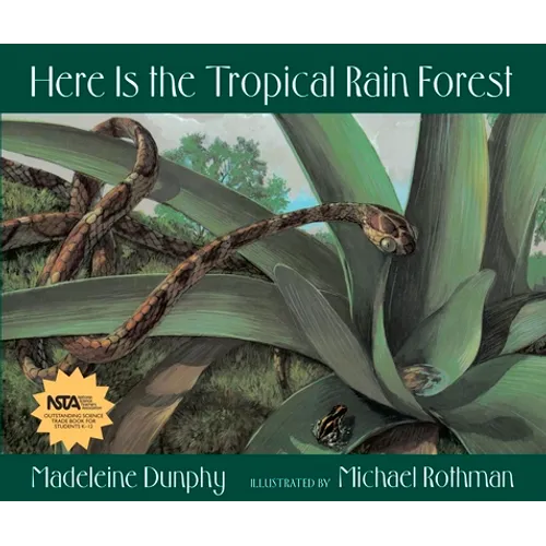 Here Is the Tropical Rain Forest