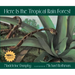 Here Is the Tropical Rain Forest