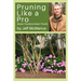 Pruning Like a Pro