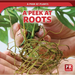 A Peek at Roots