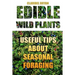 Edible Wild Plants: Useful Tips About Seasonal Foraging
