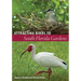 Attracting Birds to South Florida Gardens