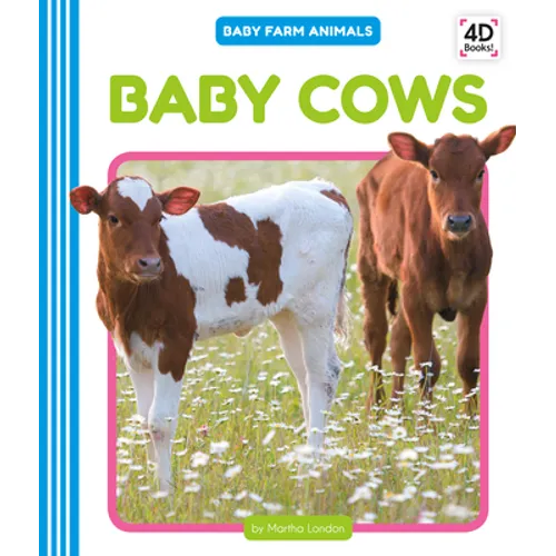 Baby Cows