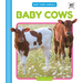 Baby Cows