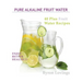 Pure Alkaline Fruit Water: 40 Plus Fruit Water Recipes